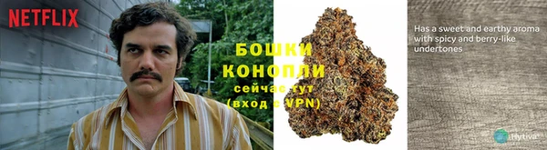 ECSTASY Абдулино