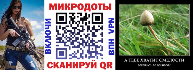 сайты даркнета клад  Монино  Галлюциногенные грибы мухоморы 